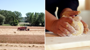 agriturismo statale 17 - matteo de santis videomaker l'aquila