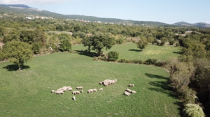 agriturismo con animali - matteo de santis videomaker abruzzo